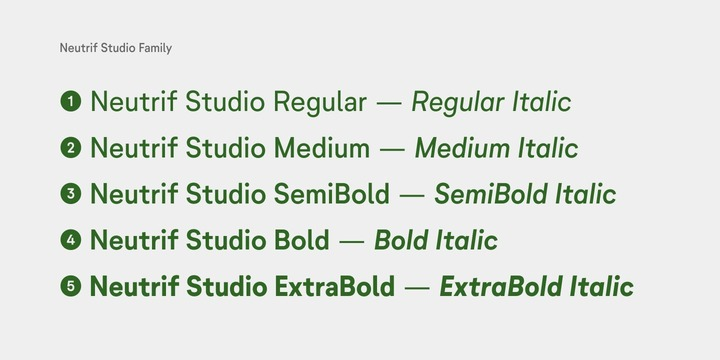 Neutrif Studio Bold Font preview